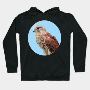 Bird of Prey photograph Hoodie